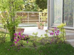 緑のカーテンで住まいを包む！造園工事のススメ