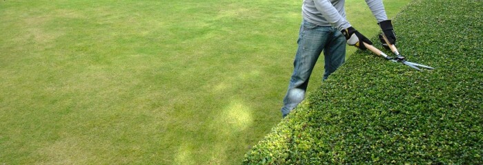 未経験歓迎！七海庭園美術の造園・エクステリア工事求人の魅力とは